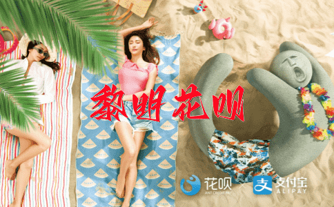 一举两得（一次行动，达到两个目的）花呗